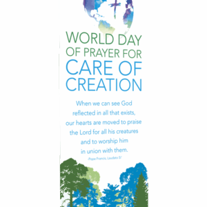 God Reflected in All <br> Care of Creation<br> Banner