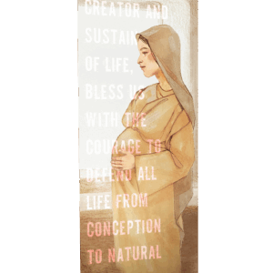 Expectant Virgin <br>Day of Prayer for Protection of the Unborn<br>Banner