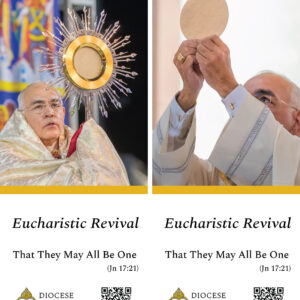 Diocese of Austin -  Eucharistic Revival - Banner