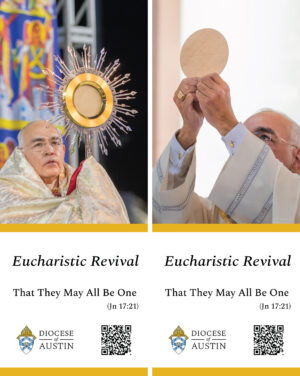 Diocese of Austin -  Eucharistic Revival - Banner
