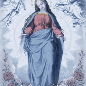 Hail Mary Poster
