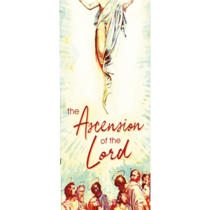 What is Promised <br>Ascension Banner