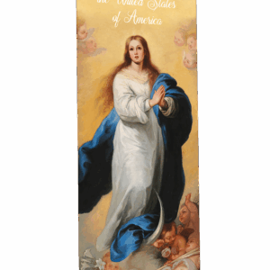 Patroness of America <br>Mary Immaculate <br>Banner