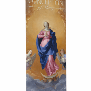 Visited by Angels <br>Immaculate Conception <br>of the Blessed Virgin Mary <br>Banner