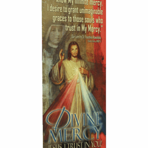 Divine Mercy Banner B