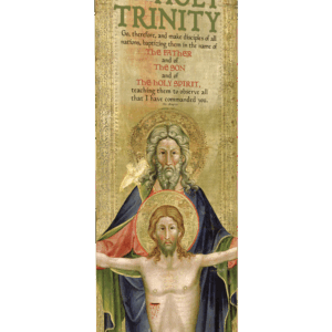 Make Disciples of All Nations <br>Holy Trinity Banner