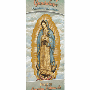 Our Lady of Guadalupe <br>Patroness of the Americas <br>Banner