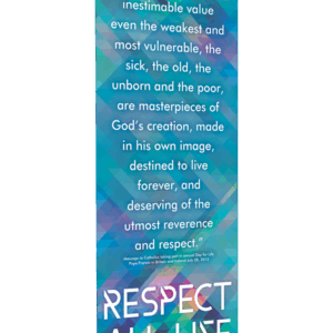 Colorful Respect Life Message Banner